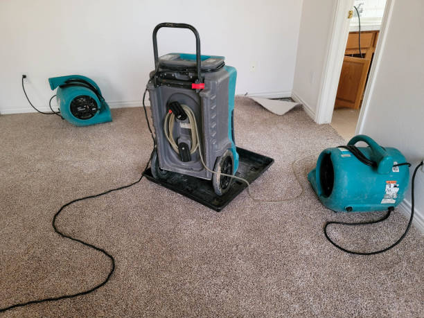 Best 24/7 water damage repair  in Sharpsburg, PA