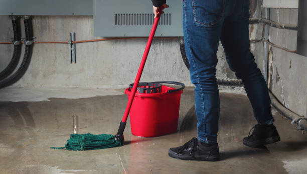 Best Flood restoration services  in Sharpsburg, PA