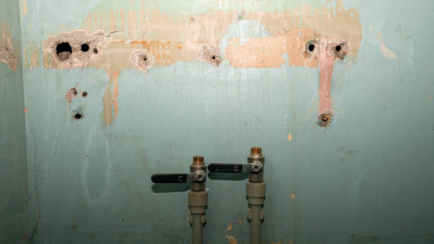 Best Water damage repair service  in Sharpsburg, PA